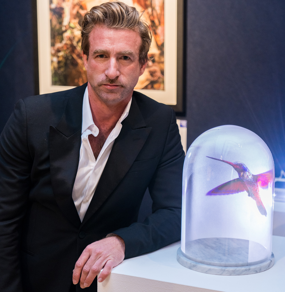 The Auction 2020 The Auction 2020 hummingbird