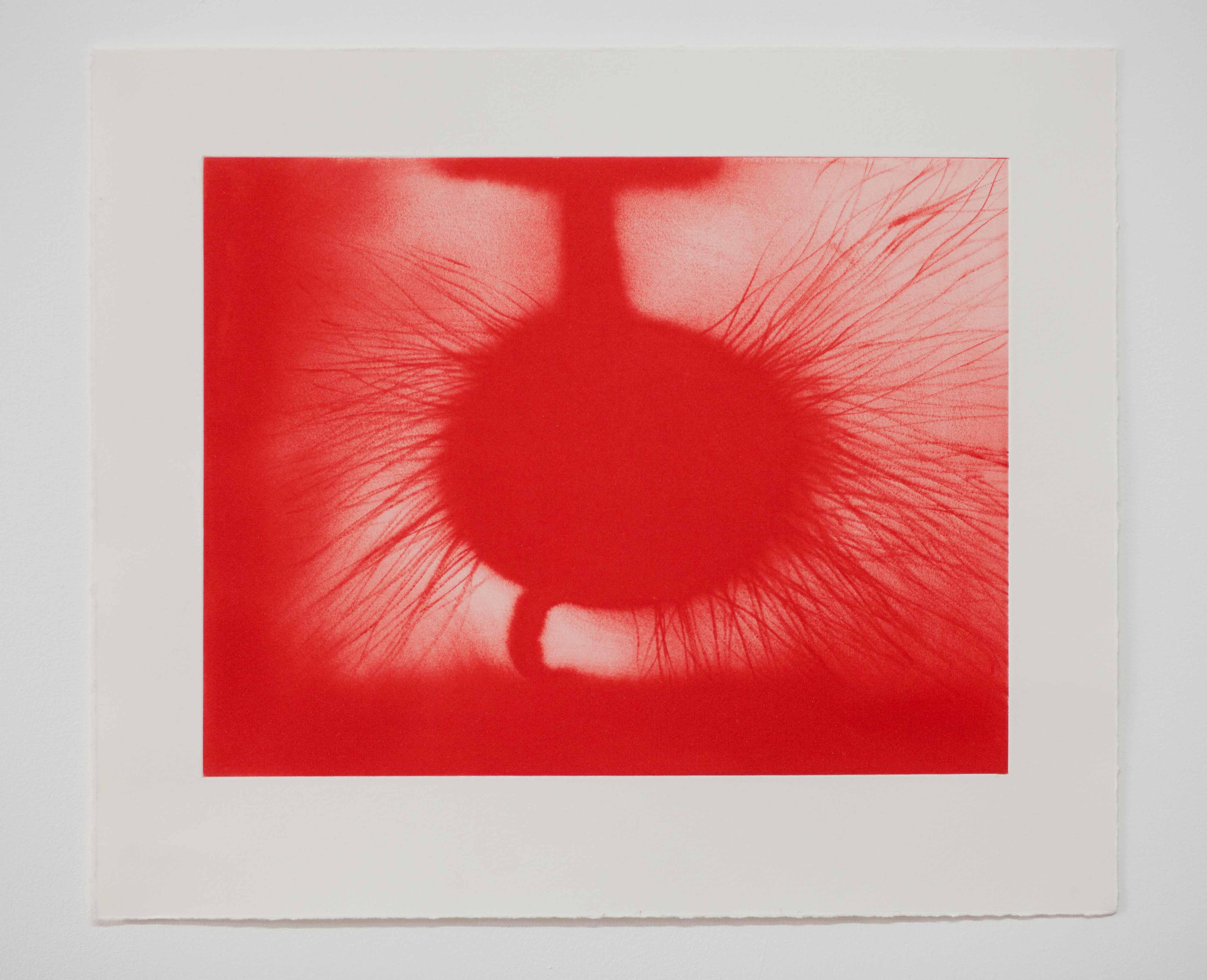 Untitled by Anish Kapoor