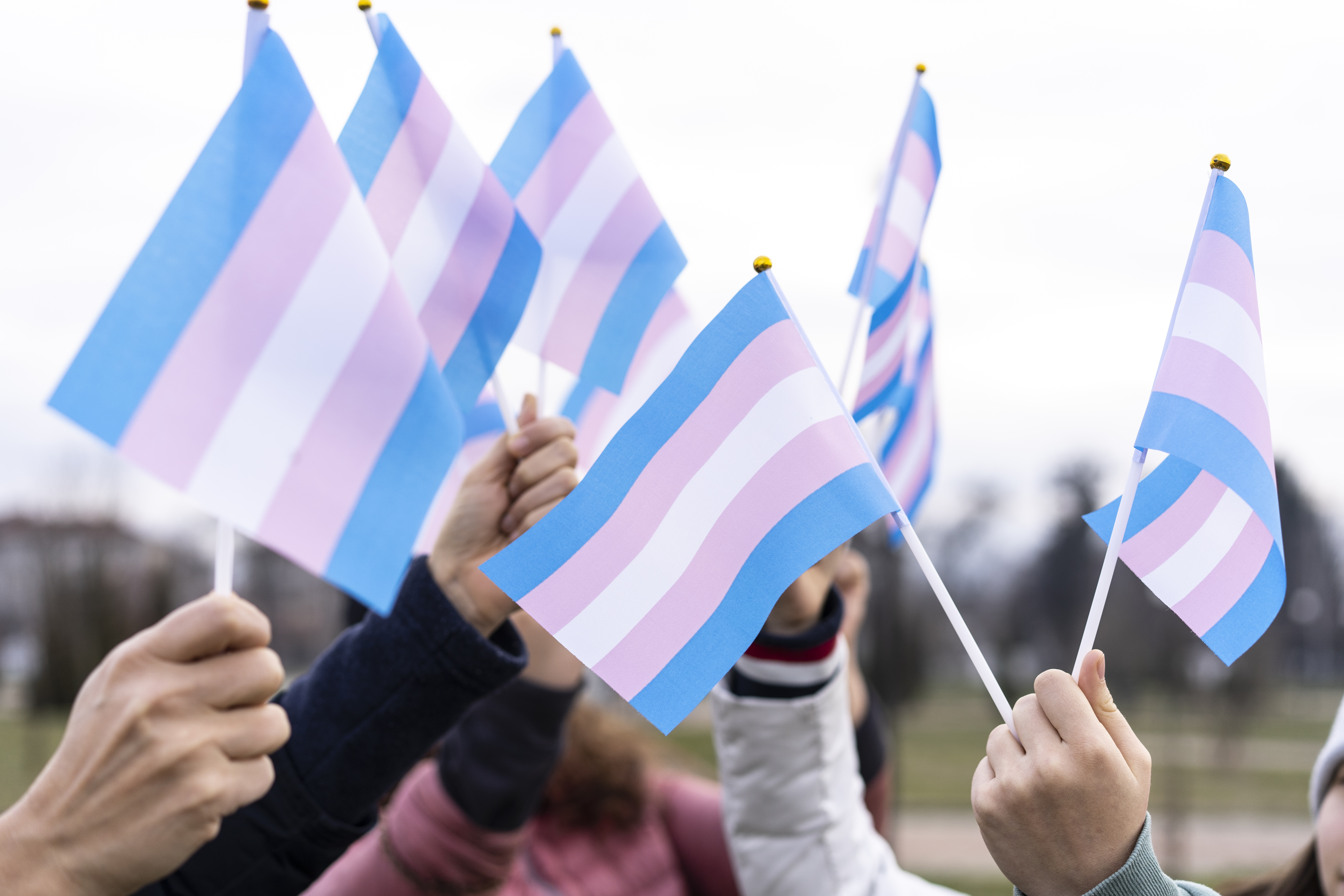 Trans flags