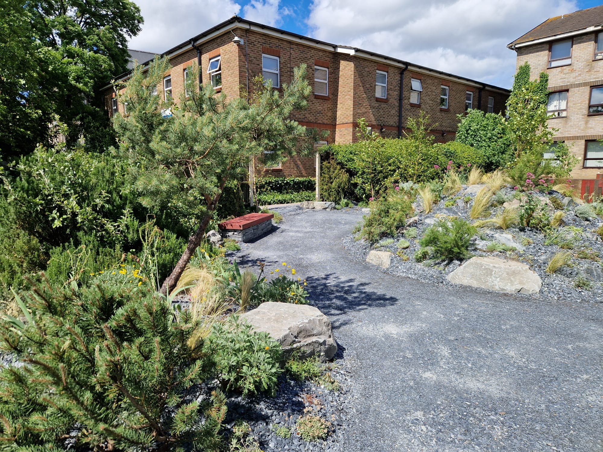 A photo of the garden in its reclocated state in Croydon University Hospital.