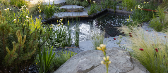 Bridge to 2030 Garden