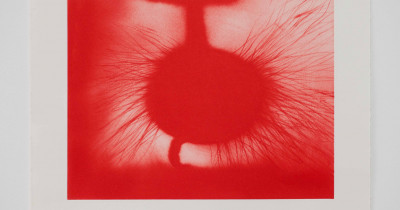 Untitled by Anish Kapoor