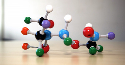 Module of a molecule