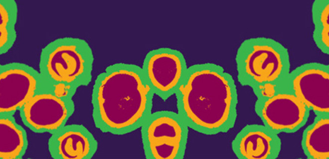 gonorrhoea cells