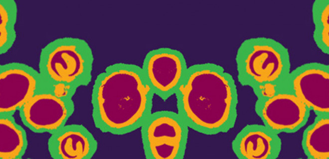 gonorrhoea cells