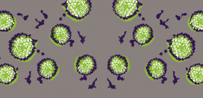 genital warts under microscope