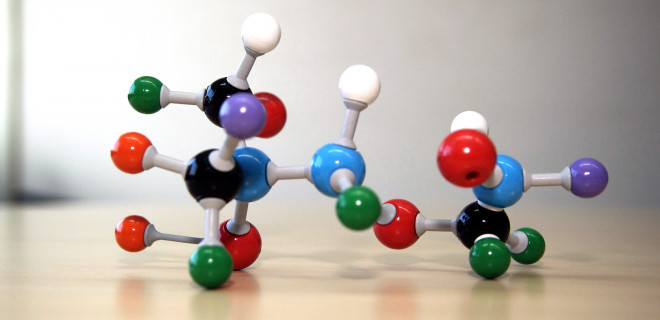 Module of a molecule