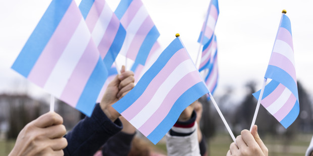Trans flags